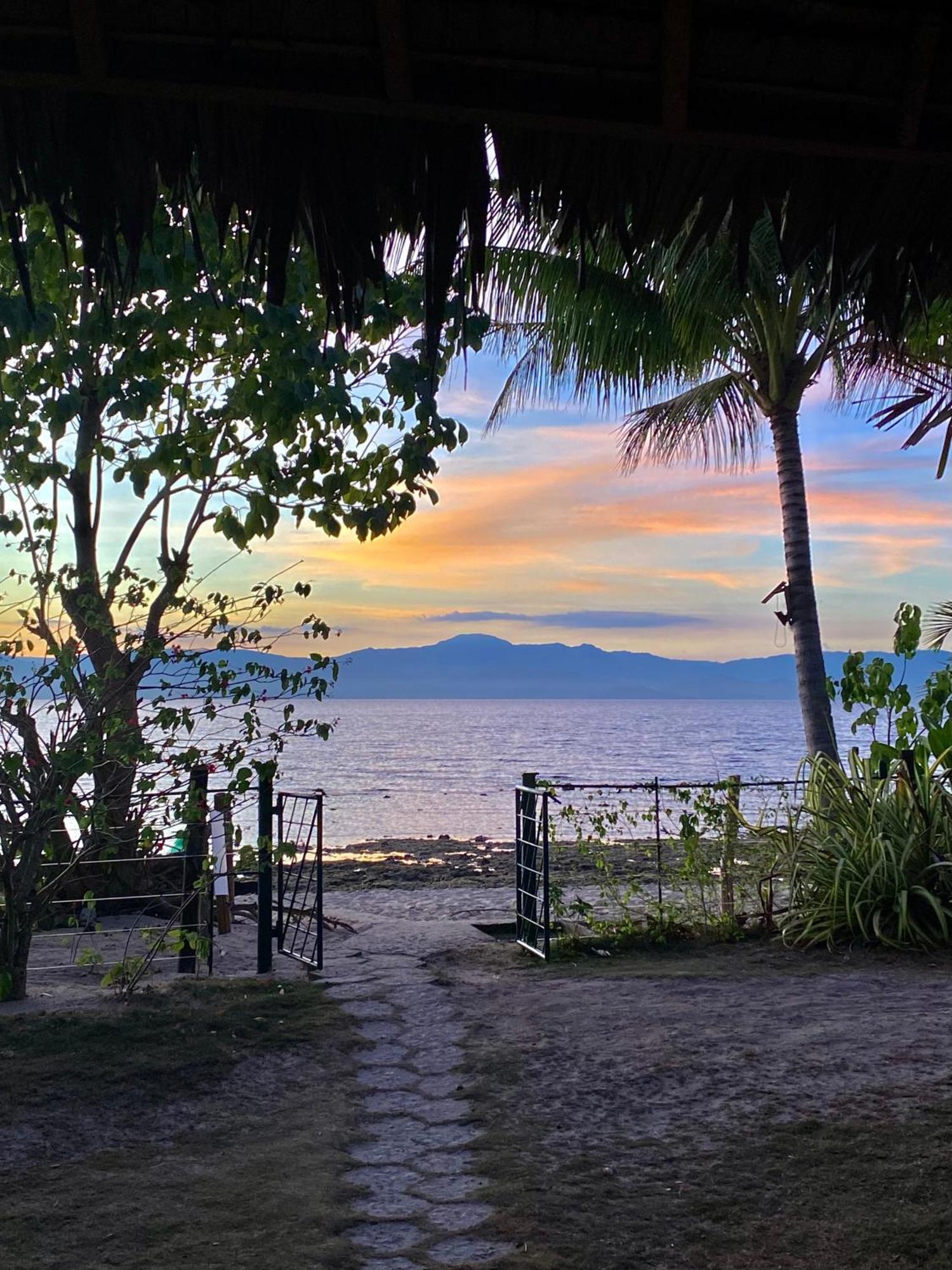 Ravenala Beach Bungalows Moalboal Exteriör bild